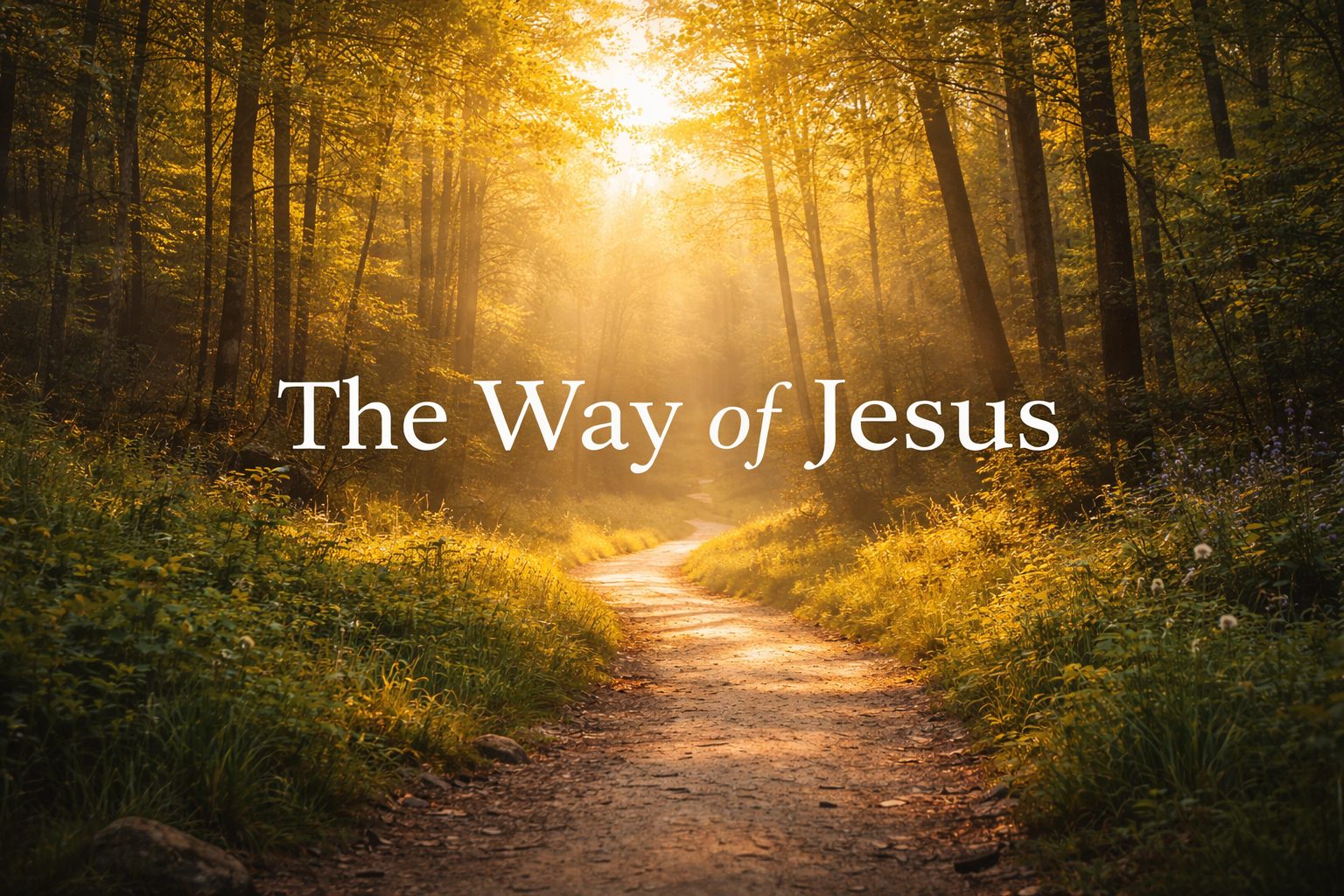 The Way Of Jesus